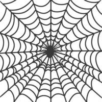 spider web black color only vector