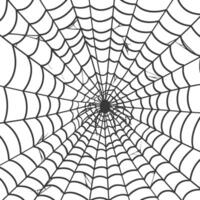 spider web black color only vector