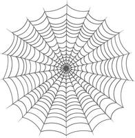 spider web black color only vector