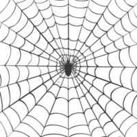 spider web black color only vector