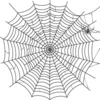 spider web black color only vector