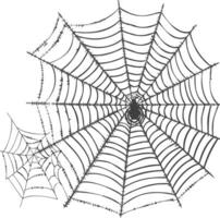 spider web black color only vector