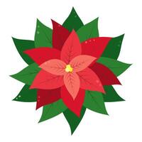 Poinsettia Flower Illustration for Festive Greetings or Marketing Materials in trendy bright shades vector