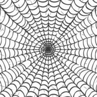 spider web black color only vector