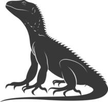 Silhouette comodo dragon reptile animal black color only full body vector