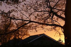 sunset in the netherlands, clouds, colors photo