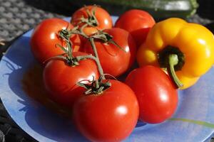 tomatoes, bell pepper, photo