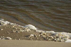 beach in the winter, netherlands photo