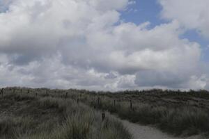 camino mediante el dunas, pueblo petten a el norte mar, el Países Bajos, foto