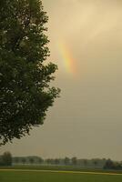 sunset in the netherlands, clouds, colors photo