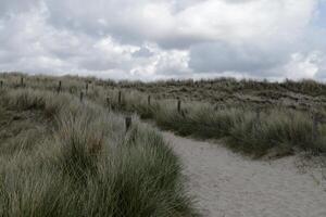 path through the dunes, village petten at the north sea, the netherlands, photo