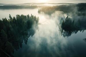 niebla lago y bosque paisaje, aéreo ver foto