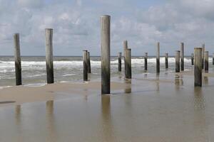 pole village, this was the location of the former village Petten, before it was taken by the sea,village petten at the north sea, the netherlands, photo