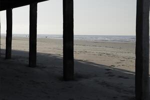 poles of a beach house at the beach photo