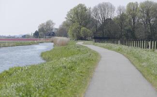 dutch landscape, netherlands in the spring photo