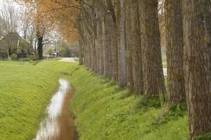 Dutch canals in North Holland in the spring photo