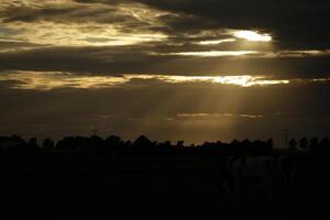 sunset in the netherlands, clouds, colors photo