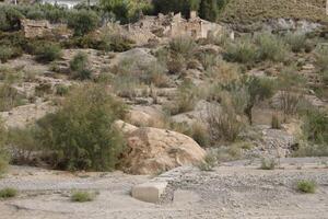 environment around the santa barbara bridge, almeria photo