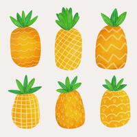 set of pineapple with different texture vector