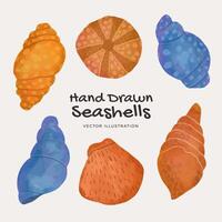 Set of seashells summer elements vector