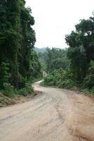 countrylife in the jungle of Koh Phangan, Thailand photo