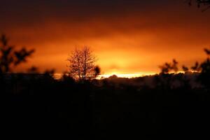 colorful sunset in the netherlands photo