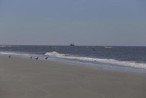 sailboat on the north sea, seen from the shore photo