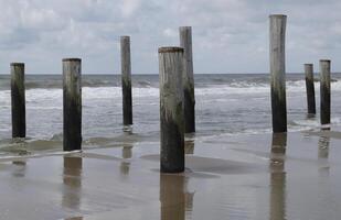 pole village, this was the location of the former village Petten, before it was taken by the sea,village petten at the north sea, the netherlands, photo