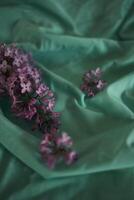 lilac on a textile background photo