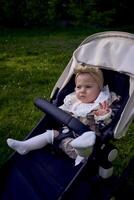 cute baby in a stroller in the park photo