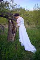 a beautiful woman in a white vintage dress with a train is stroking a tree damaged by a storm photo