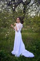 beautiful woman in white vintage dress with train in spring garden at sunset photo