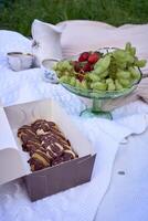 the fruits and pancakes on a picnic blanket photo