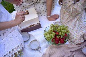 the fruits and pancakes on a picnic blanket photo