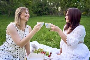 a mother and her teenage daughter on a picnic in the garden photo