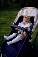 cute baby in a stroller in the park photo