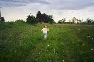 two little sisters repair and fly a kite in a field photo
