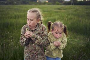 beautiful blonde sisters play with a dandelion in the field photo