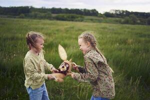 sisters fight over a toy bunny photo