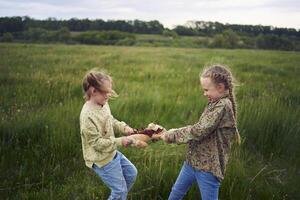 sisters fight over a toy bunny photo