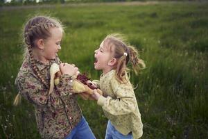 sisters fight over a toy bunny photo