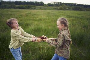 hermanas lucha terminado un juguete conejito foto