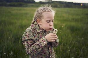 beautiful blonde sisters play with a dandelion in the field photo