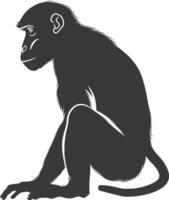 Silhouette Proboscis monkey animal black color only vector