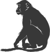 Silhouette Proboscis monkey animal black color only vector