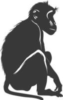 Silhouette Proboscis monkey animal black color only vector