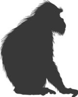 Silhouette Proboscis monkey animal black color only vector