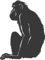 Silhouette Proboscis monkey animal black color only vector