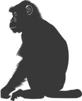 Silhouette Proboscis monkey animal black color only vector