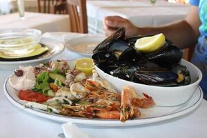 delicious greek sea food photo